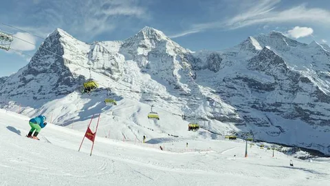 Ski & Snowboard Paradise view 2